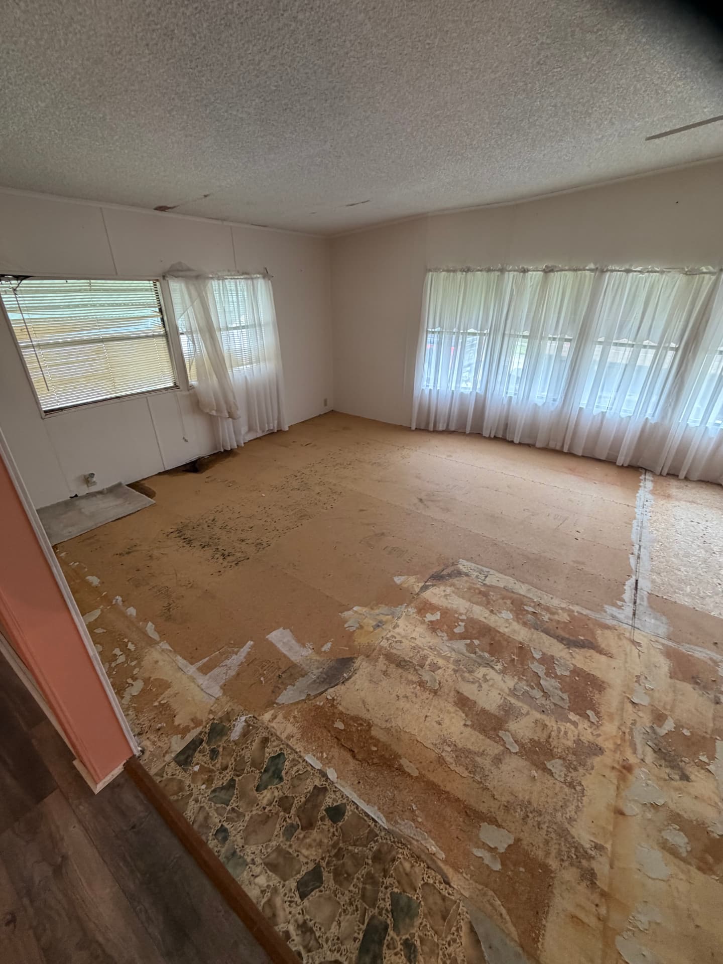 Living room after cleanout