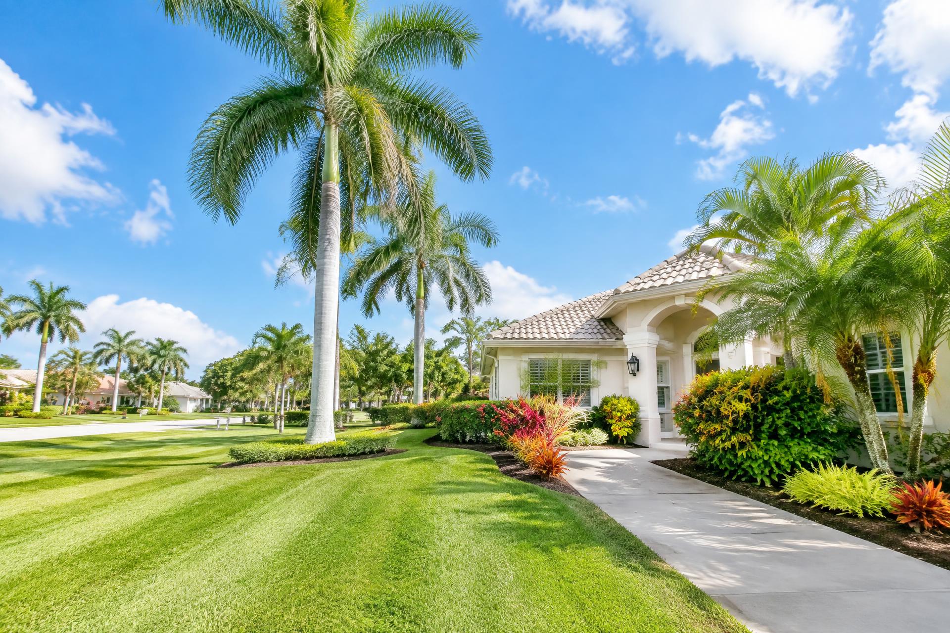 Freshly landscaped Florida front yard with palm trees